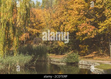 Automne Parc de la ville. Park à l'automne. Les canards nagent dans l'étang. Les arbres d'automne lumineux dans le parc. Journée ensoleillée. Photo couleur Banque D'Images