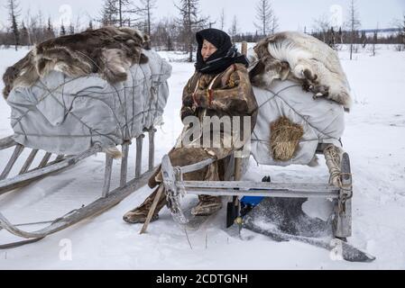 Une vieille femme de Nenet avec des luges dans une toundra enneigée, Yamalo-Nenets Autonomous Okrug, Russie Banque D'Images