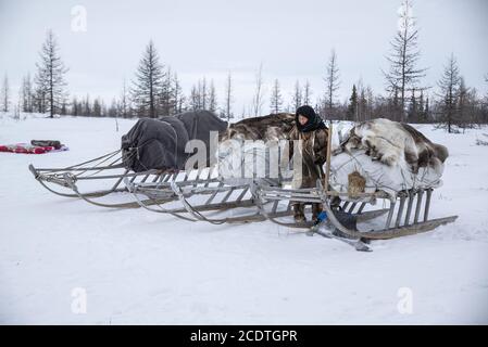 Une vieille femme de Nenet avec des luges dans une toundra enneigée, Yamalo-Nenets Autonomous Okrug, Russie Banque D'Images