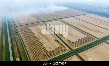 Moissonneuses-batteuses Don. Les machines agricoles. Banque D'Images