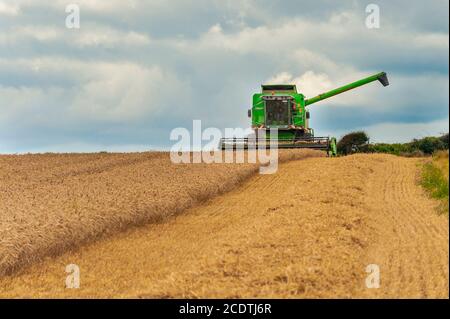 Ballycotton, East Cork, Irlande. 29 août 2020. Une moissonneuse-batteuse Deutz-Fahr Topliner 4080 HTS, exploitée par des entrepreneurs Barry et John Flavin, coupe du blé d'hiver sur la ferme de Ballycotton d'Alan et John Dunne lors d'une journée ensoleillée à East Cork. Crédit : AG News/Alay Live News Banque D'Images