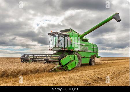 Ballycotton, East Cork, Irlande. 29 août 2020. Une moissonneuse-batteuse Deutz-Fahr Topliner 4080 HTS, exploitée par des entrepreneurs Barry et John Flavin, coupe du blé d'hiver sur la ferme de Ballycotton d'Alan et John Dunne lors d'une journée ensoleillée à East Cork. Crédit : AG News/Alay Live News Banque D'Images