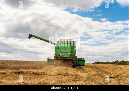 Ballycotton, East Cork, Irlande. 29 août 2020. Une moissonneuse-batteuse Deutz-Fahr Topliner 4080 HTS, exploitée par des entrepreneurs Barry et John Flavin, coupe du blé d'hiver sur la ferme de Ballycotton d'Alan et John Dunne lors d'une journée ensoleillée à East Cork. Crédit : AG News/Alay Live News Banque D'Images