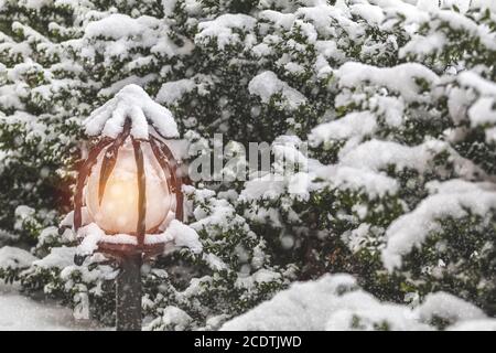 Beau fond d'hiver avec des arbres et la neige cache la lumière de la rue. Chutes de neige, photo, faire face l'espace. Banque D'Images