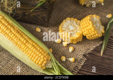 Sur les épis de maïs frais sur la table en bois rustique, vue du dessus. Fond en bois foncé de maïs biologique fraîchement récolté. Banque D'Images