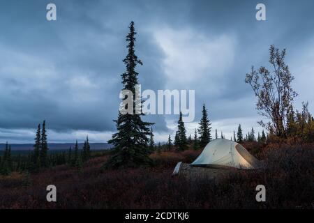 Terrain de camping Wonder Lake, parc national Denali Banque D'Images