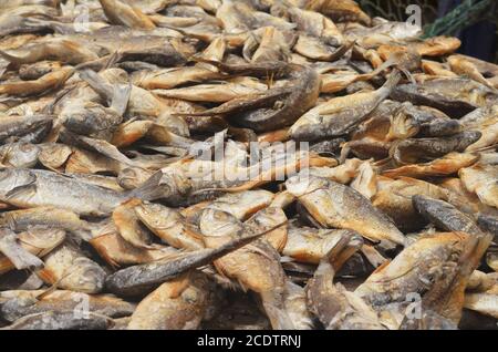 Casiers de poisson séché au soleil (guédj), salé et/ou fumé (kétiakh) à Cayar (Sénégal), un aliment essentiel dans toute l'Afrique de l'Ouest Banque D'Images