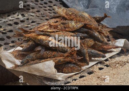 Casiers de poisson séché au soleil (guédj), salé et/ou fumé (kétiakh) à Cayar (Sénégal), un aliment essentiel dans toute l'Afrique de l'Ouest Banque D'Images