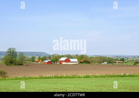 Vue sur le paysage avec champs et fermes dans la campagne suédoise au printemps Banque D'Images