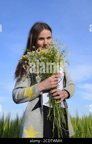 Jeune belle fille avec un bouquet de chamomiles. Une femme dans un champ d'orge Banque D'Images