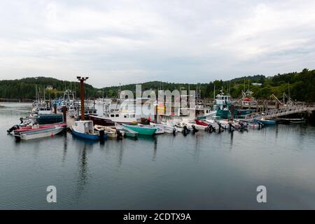 Deer Island, N.-B., Canada - le 19 juillet 2020 : une variété de petits bateaux de pêche amarrés dans un port. De nombreux dories aussi présents. Ciel couvert. Banque D'Images