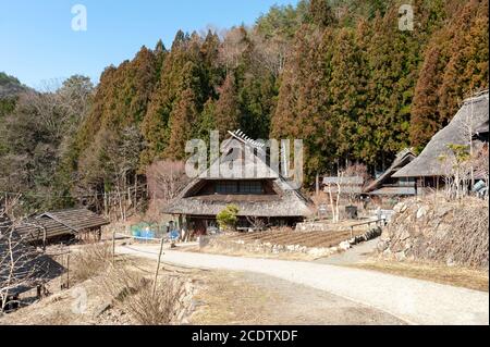 Maisons en toit de chaume dans l'ancien village japonais appelé Saiko Iyashino-Sato Nenba (village de guérison). Banque D'Images