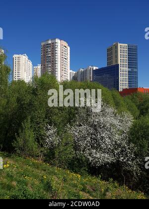 Paysage de ville dans un environnement écologiquement propre en ville de Moscow, Russie Banque D'Images