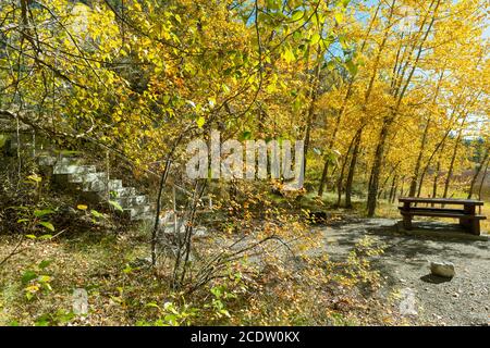 Un camping vide dans le feuillage d'automne dans le parc provincial Marble Canyon, Colombie-Britannique, Canada Banque D'Images