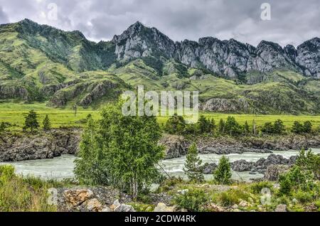 Paysage d'été de rivière de montagne rapide Katun avec des rapides Teldykpen Banque D'Images