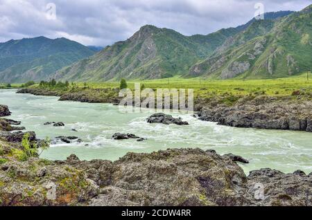 Paysage d'été de rivière de montagne rapide Katun avec des rapides Teldykpen Banque D'Images