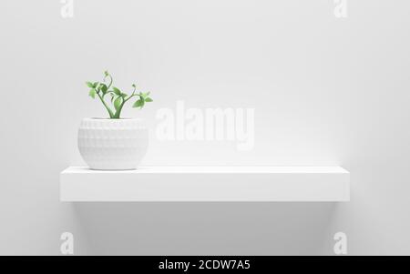 etagère blanche avec plante en pot verte sur le mur avec lumière depuis le haut Banque D'Images