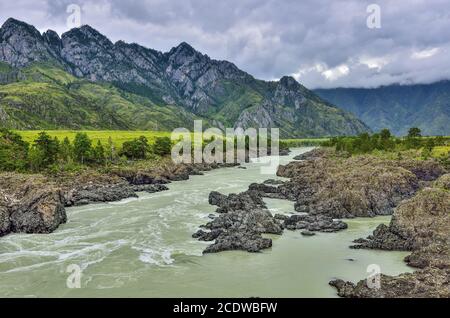 Paysage d'été de rivière de montagne rapide Katun avec des rapides Teldykpen Banque D'Images