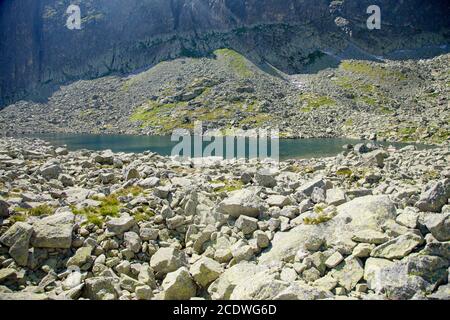 Haute région du tarn Wahlenberg, dans la vallée de Furkotská, dans les montagnes des Hautes Tatras, en Slovaquie Banque D'Images