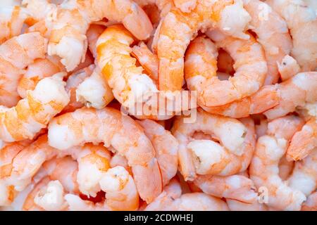 Fond de crevettes fraîches pelées. Gros gros gros plan sur les crevettes. Fond de crevettes fraîches et crues. Pile de crevettes fraîches pelées fond Banque D'Images