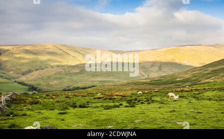 Une vue sur le Parc National des Yorkshire Dales, Angleterre Banque D'Images