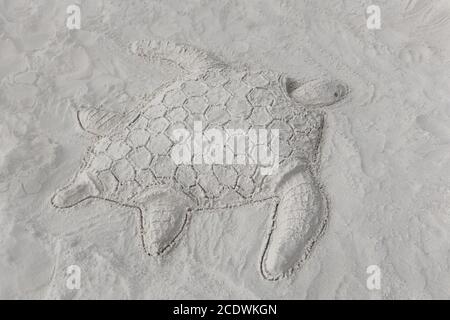 Belle tortue en forme de sable. Banque D'Images