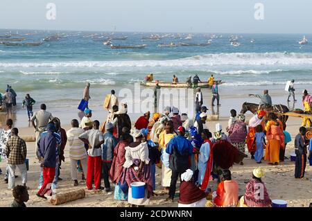 Sénégal. Port de pêche de Kayar. Le plus grand port de pêche du Sénégal Banque D'Images