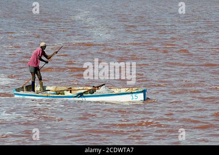Sénégal, lac de sel de Redba ou lac Pink. Recueillir le sel Banque D'Images