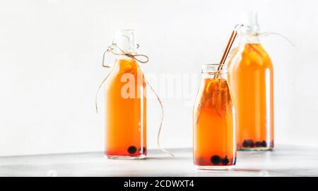 Bleuets, canneberges fermentés Kombucha cru avec gingembre et citron.thé prêt à boire en bouteille avec paille écologique Banque D'Images