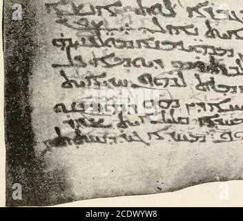 . Introduction à la critique textuelle du Nouveau Testament grec . && ? n. $, crop wji-^^a^sr-. V Sinitic Syriac Palimpsest (Lewis).Matthew xv. 12-27. PLAQUE 1. UCJUKLO&gt; qua iwpoTe^T.vrc eTuiRTcne KPP BXT5piRIBUS JxcounSis erexvus v ttaoa&gt;N« r&gt; Ippuorc i«I«X; is«s ueXNSOR;UXTURS; uxturs; uxturs; turs; turs; uxturs; uxturs; turs; turs; turs; turs; turs; turs; turs Banque D'Images