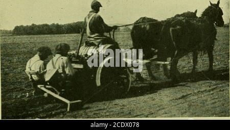 . Chou tardif, de la graine jusqu'à la récolte, également l'élevage de graines . Figure 14.—deux chevaux de cabajije setter.. Figure 15.—deux-ioi:5e Luuua^^ ^otter en fonctionnement. 54 ROUES basses DE CHOU TARDIF. À l'arrière de chaque roue et très près du sol est attaché un siège; juste en dessous et devant l'eachof de ces sièges, est attaché un disque ou une petite charrue qui opensup un sillon dans lequel l'usine est placé par les hommes sur ces sièges; ensuite, l'arrière de chaque siège est un arrangement qui remplit le sillon dans lequel les opérateurs ont juste placé les racines de leurs plantes. Puis derrière tout cela il ya apair de rouleaux en bois, W Banque D'Images