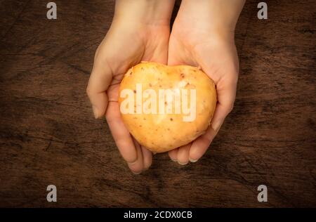 Pommes de terre en forme de coeur dans les mains des femmes sur fond de bois, vue de dessus. Concept de respect de l'agriculture Banque D'Images