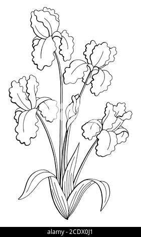 Iris fleur graphique noir blanc isolé bouquet esquisse vecteur d'illustration Illustration de Vecteur