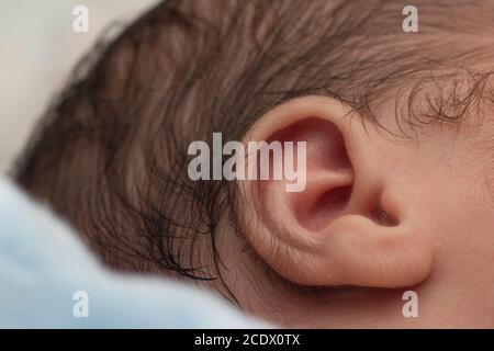 Bebe Nouveau Ne Ear Photo Stock Alamy