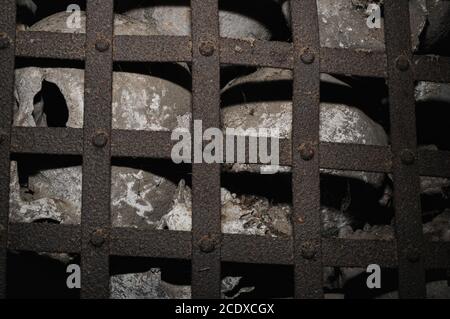 Des prises pour les yeux vides et des mâchoires sans dents au milieu des crânes de villageois médiévaux vus derrière les bandes rouillées d'une ancienne grille en fer qui gardait le Gebeinhaus (maison d'os, maison de charnel ou ossuary) sous l'Alte St. Michaelskirche (ancienne église de Saint Michael), Ancienne église paroissiale d'Alken sur la Moselle en Rhénanie-Palatinat, Allemagne. L'ossuaire a été fermé à de nouveaux interments au début du XVe siècle. Les restes de squelette entreposés ici comprennent des os anciens transférés du petit cimetière de l’église pour faire de l’espace pour de nouvelles inhumations. Banque D'Images