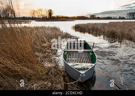 Bateau de pêche attaché à la rive parmi les roseaux Banque D'Images
