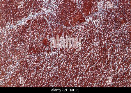 Quelques-unes des centaines de variétés de marbre en Turquie. Fond de texture à motifs en marbre pour le design. motif de fond abstrait texture en marbre. Banque D'Images