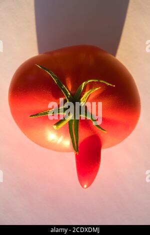 Tomate mûre juteuse déformée isolée sur fond blanc Banque D'Images