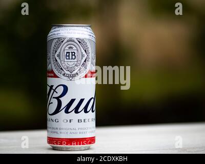 Ukraine. 28 août 2020. Dans cette photo, une bière Bud Light peut être vue à l'extérieur. Credit: Igor Golovniov/SOPA Images/ZUMA Wire/Alamy Live News Banque D'Images