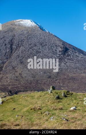 Moutons sur la côte de l'île de Skye Banque D'Images