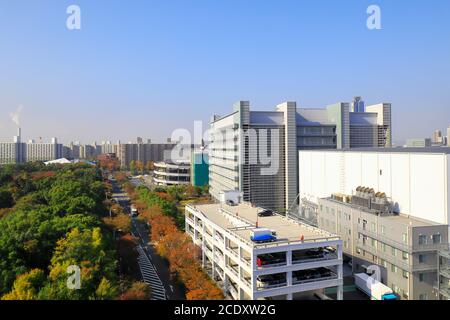 Le magnifique paysage urbain avec des bâtiments d'usine modernes et des bois colorés autour en automne, Osaka, Japon. Banque D'Images