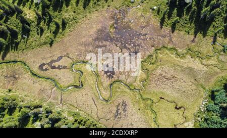 Vue aérienne de Sun Valley (Sole Valley) depuis le lac Malghette en été, Trentin-Haut-Adige, nord de l'Italie, Europe. Vue aérienne époustouflante Banque D'Images