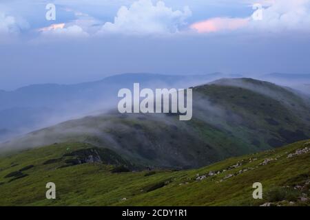 Paysage avec hautes montagnes. Un matin d'été très brumeux. La brume matinale. Un endroit pour se détendre dans le Parc Carpathian, Ukraine, Europe. Naturel Banque D'Images