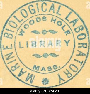 . Histoire populaire de l'aquarium d'animaux et de plantes marins et d'eau douce . o V. HISTOIRE POPULAIRE OP L'AQUARIUM OP PLANTES MARINES ET D'EAU DOUCE ANIMALSAND. PAR GEOEGE BEETTINGHAM SOWERBY, E.L.S. LOISDON: LOVELL REEVE, RUE HENRIETTA, COVENT GARDEN. 1857. S&gt;- Banque D'Images