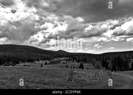 Vue sur la « Lusen » depuis la forêt de Bohême en monochrome Banque D'Images