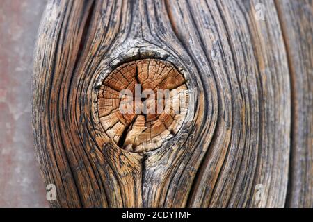 Texture en bois haute résolution branche de lignes gris brun noir blanc Banque D'Images