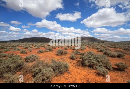 Australie méridionale – désert de l'Outback avec des gommages et des collines ciel nuageux comme panorama Banque D'Images