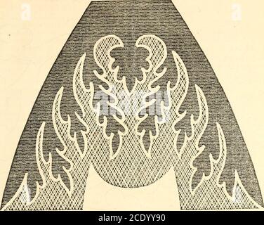 . Livre de la dame de Godey . Le matériau est le zephyr de cinq nuances différentes : noir, scarlet profond, orange, vert marin, et blanc. Le centre, en crochet brut, isof mer-vert. Faites une chaîne de cinq points, et joignez en contournant l'aiguille à travers le premier point et en l'unissant à la dernière. Former cinq rangées de vert, en élargissant d'abord tous les trois, puis chaque quadruple point. La rangée suivante est de couleur blanche, en gros morceaux d'orananas. Encore une rangée de vert, quatre points en profondeur. La couleur suivante est le noir, puis encore, suivant le motif, comme indiqué dans la gravure, dans les trois couleurs, noir, vert, Banque D'Images