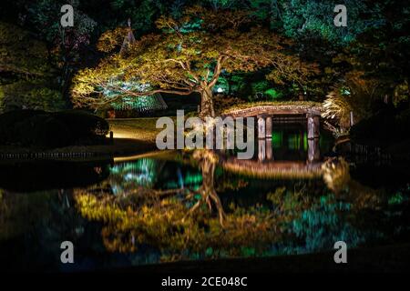 Jardin daimyo de Rikugien (couleurs d'automne) Banque D'Images