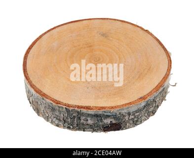 Coupe circulaire transversale du tronc d'un jeune le bouleau est utilisé pour la fabrication d'objets décoratifs isolé Banque D'Images